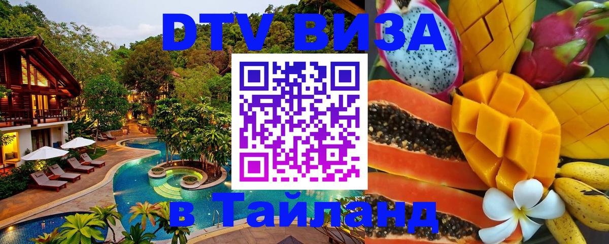 Оформление DTV визы под ключ: стоимость и тарифы, только загранпаспорт - 04.10.2025 